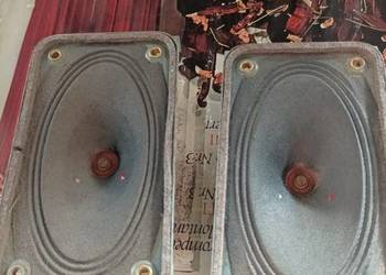 Isophon niemieckie głośniki wysokotonowe