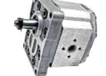 1425495M92 Pompa hydrauliczna Landini