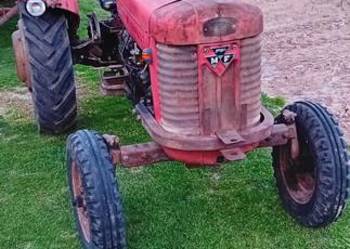Massei ferguson 65