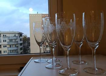 Duże kieliszki  6 sztuk.