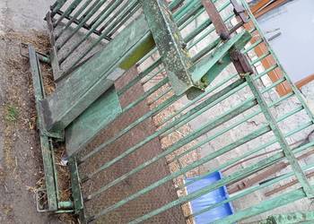 Waga do żywca bydła