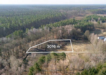 Działka pod lasem z wydanymi warunkami tylko 120 zł/m2