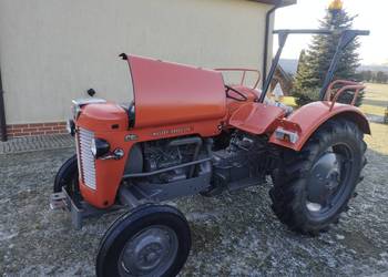 Ciągnik rolniczy Massey Ferguson MF 30