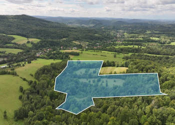 Działka 7746m2 Łobozew Górny