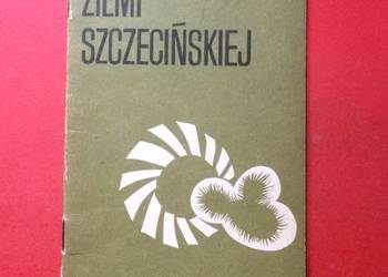 ( 719. ) Campingi Ziemi Szczecińskiej