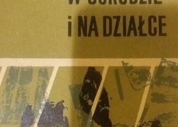 inspekt w ogrodzie i na działce książka antykwariat prezenty