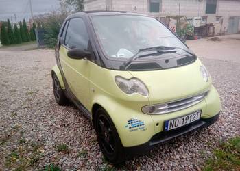 SMART CABRIO