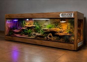 Terrarium hodowlane dla gekona lamparciego żółwia greckiego