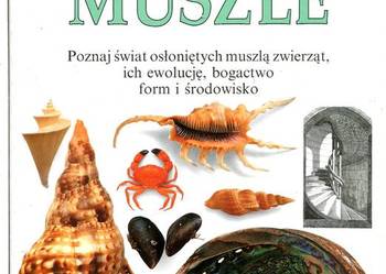 Patrzę Podziwiam Poznaję Muszle