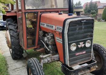Massey Ferguson 255, zamiana, c330, 360, 245, 135, zetor 5211, farmmot,