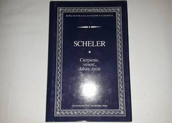 Scheler - Cierpienie, śmierć, dalsze życie