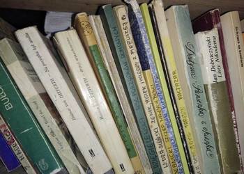 Przygoński, Powstanie Warszawskie w sierpniu dwa tomy antykI