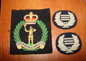 Królewski Korpus Obserwatorów brytyjska naszywka