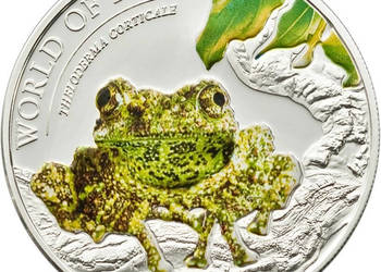 Srebrna moneta kolekcjonerska z serii „ Word Of Frogs” – THELODERMA CORTICA