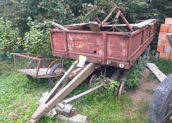 Kołówka Rumunka rozrzutnik polski