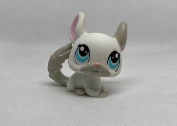LPS Littlest pet shop szynszyl #