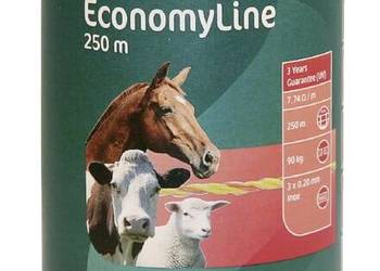 Plecionka Economy Line, 250 m żółto/pomarańczowa AKO 441555