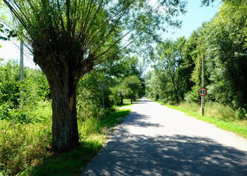 Kampinos - tuż przy KPN, WZ i Pozwolenie na Budowę