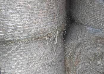 Sprzedam siano Sprzedam siano