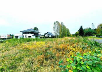 Działka Miedziana Góra 878m2