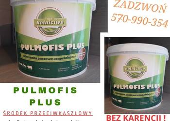 Pulmofis plus na kaszel-dodatek paszowy dla zwierząt-choroby płuc