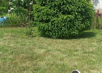 Działka ROD NEPTUN Szosa Polska