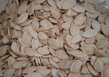 Pestka dyni w łupinie