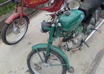 Ogar 205 jawka