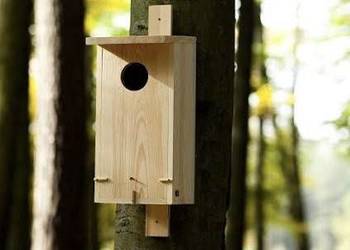 Budki dla ptaków