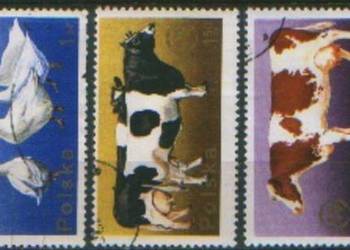 Zn. Fi 2231 - 5 kas 1975