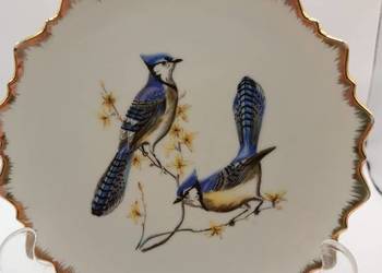 Talerz DEKORACYJNY MOTYW NATURY PIĘKNE PTAKI