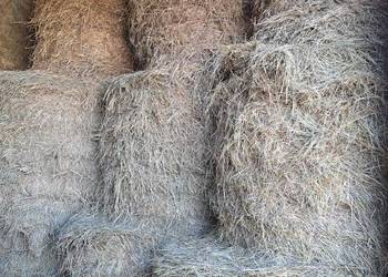 Sprzedam Słomę, siano, kiszonkę