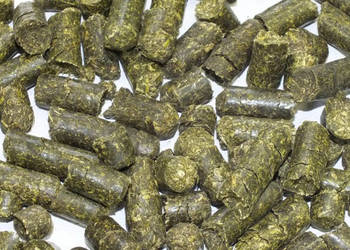 Trawo-kulki dla konia pasza karma