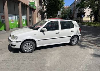 Polo Polo