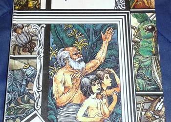 Niezwykłe przygody Karika i Valiego - Jan Larri