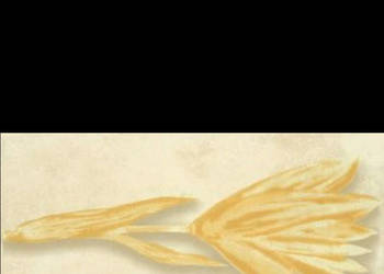 Dekor Carla citron Inserto 20 x 40, seria Carlita, Paradyż, płytki, kafelki