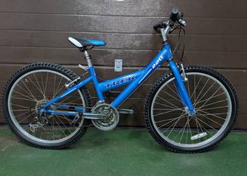 Rower dziecięcy Trek 220 MountainTrack Junior koła 24 + gratis