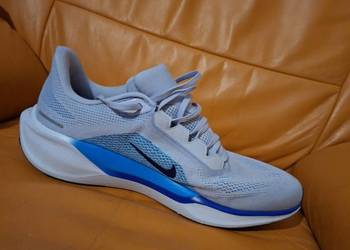 Nike pegasus 41 męskie