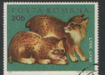 Zn. Rumunia Mi 3005 kas 1972
