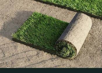 Zakładanie Trawników z Rolki