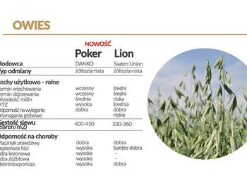Owies jary Poker, Lion - materiał siewny Top Farms