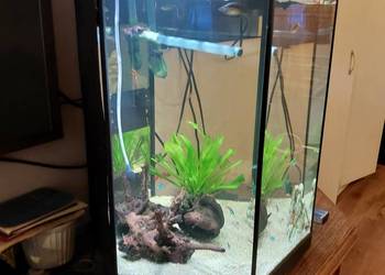 Akwarium 60 l oświetlenie napowietrzacz