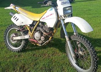 Suzuki dr350