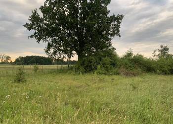 Działka rolna 3,5 ha