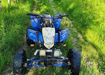 Quad bashan 200