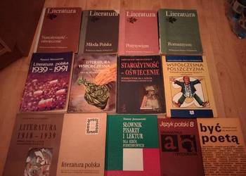 Język polski szkoła średnia matura 13 książek