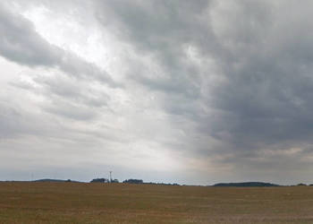 Borkowo Malechowo 1,55 ha
