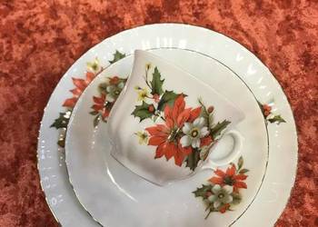 Filizanka Retsch Wunsiedel poinsecja