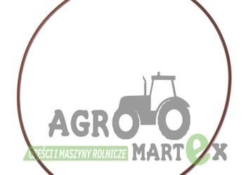 1286083C1, 87778936, 87773329, 444622A1 ORING CNH