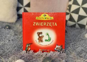 "Zapytaj misia o ... ZWIERZĘTA" Biblioteczka Misia - HIT!